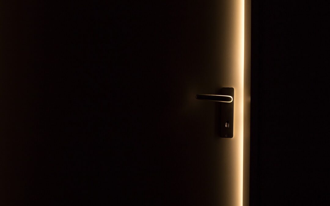 La sécurisation d’accès professionnels, comment faire ?