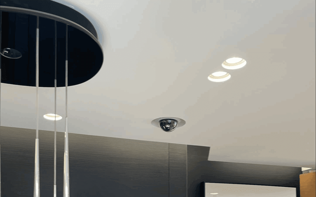 Installation vidéosurveillance en entreprise : miser sur les caméras IP